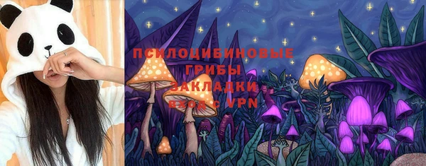 прущие крисы Алзамай
