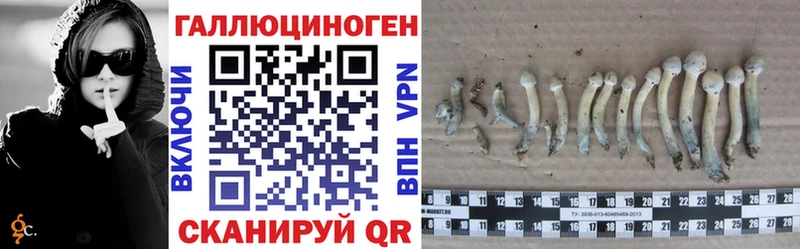 Псилоцибиновые грибы Psilocybine cubensis  Оса 